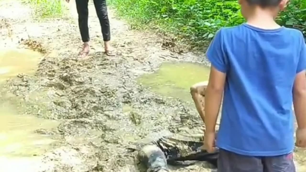 🤣 Best Comedy Video 🤣 check this video