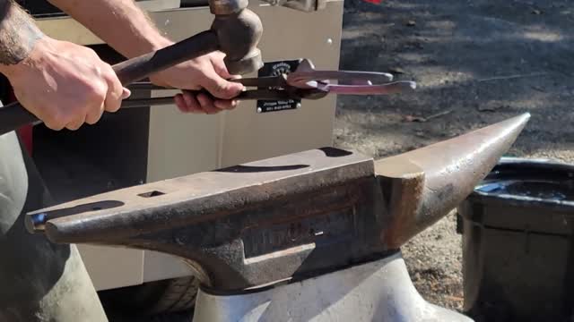 Horse hoof restoration