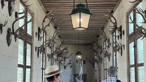 CASTLE HALLWAY
