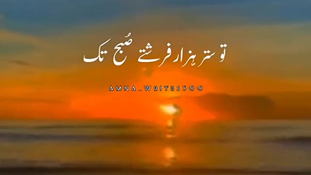 Cats Cute and Funny Video