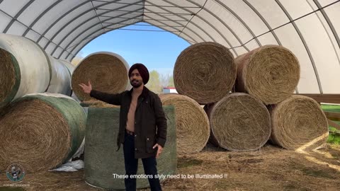 Stinder sartaaj.walid.punjabi song