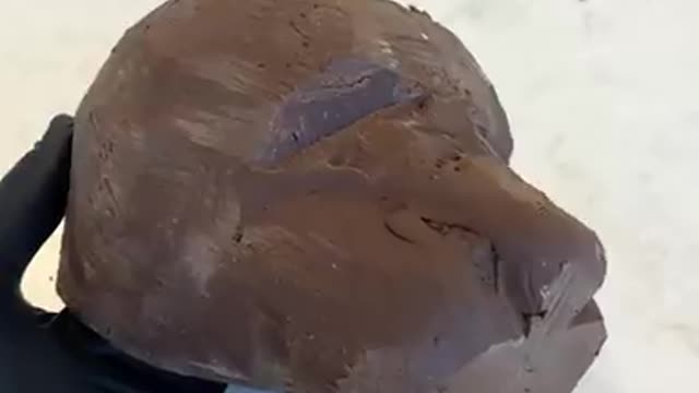 !!the Chocolate Tiger!!