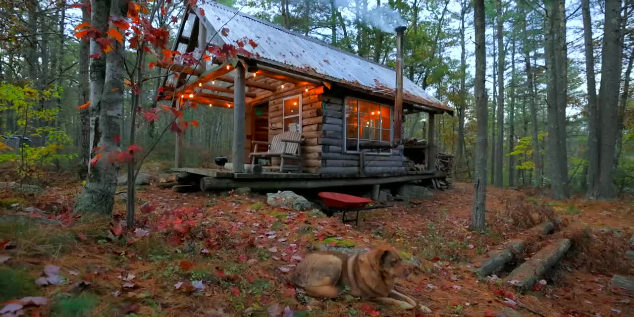 Autumn Treehouse & Cabin Roadtrips-6