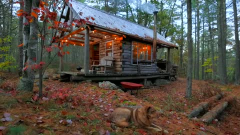 Autumn Treehouse & Cabin Roadtrips-6