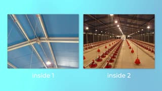 the ultimate guide to Angola steel structure chicken house