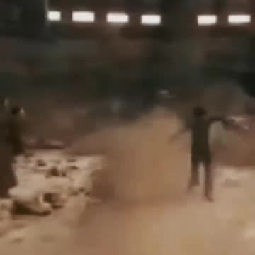 Shorts: jogos vorazes