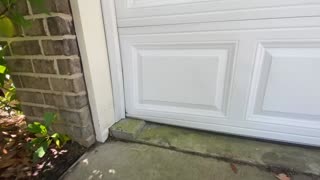 Virtual Showing of 108 River Bend Rd, Midway