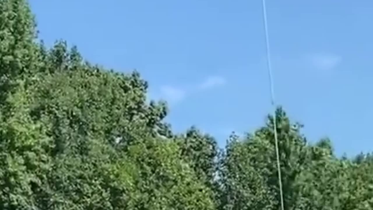 Helicopter tree trimming