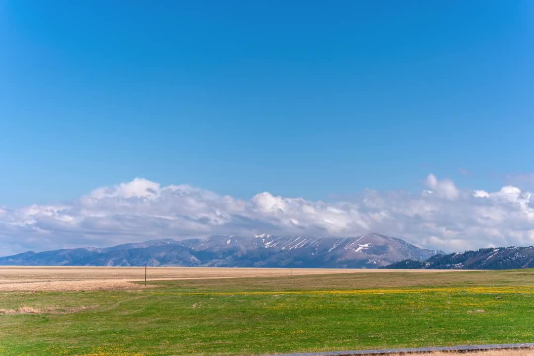 Grassland with blue sky and white clouds