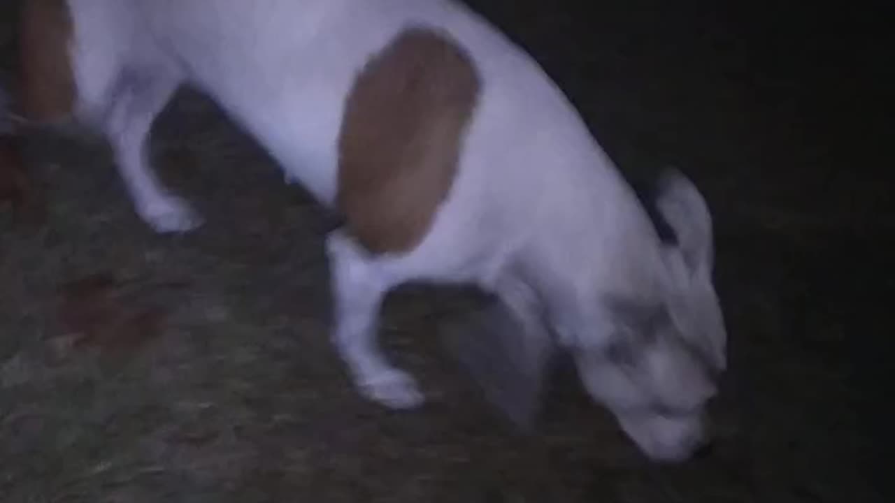 KARMA