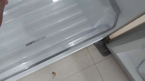 Limpar Geladeira Electrolux - Limpar Refrigerador Electrolux DF56S - Montar prateleiras geladeira 2