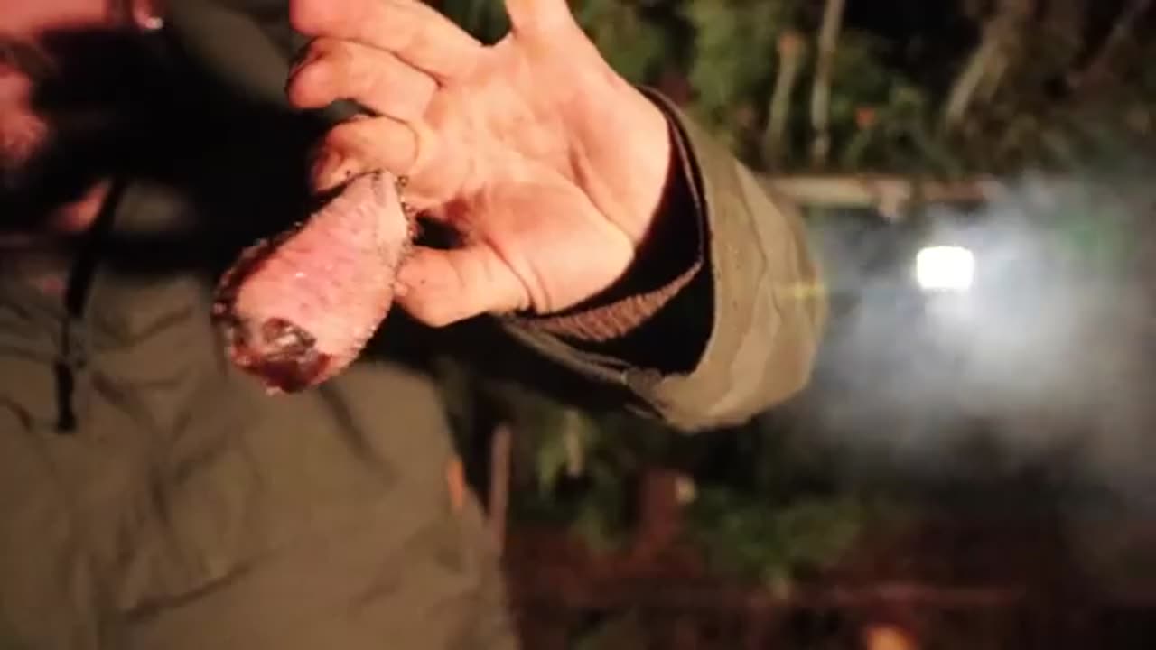 Building a Bushcraft Survival Shelter Cooking on Coals A Simple Way to Spend Time in the Wild