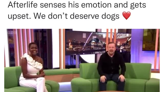 This is amazing