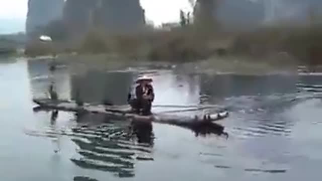 Chinese Unique way of fishing with cormorants