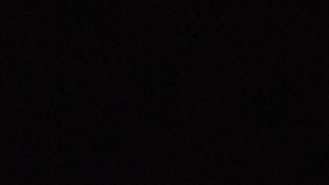 Bugger at liberty training.