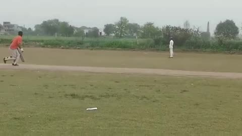 Cover drive