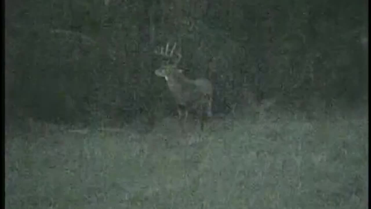 Didn't even have time to untie the gun! #deer #hunting #hunt #8point