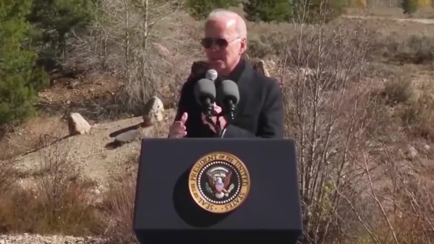 LOVE THAT LITTLE CATTURD!!!😂😂😂