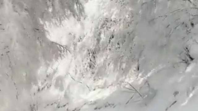 Winter Wonderland ❄️