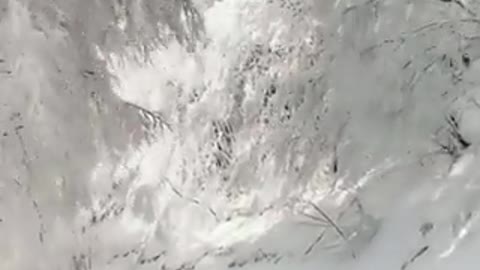 Winter Wonderland ❄️