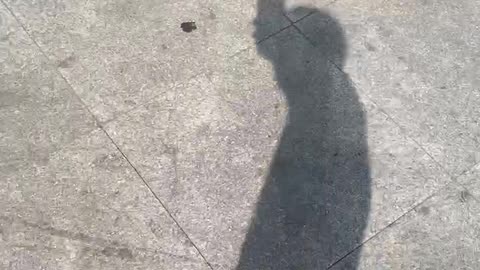 The reflection of the hot sun shining on me