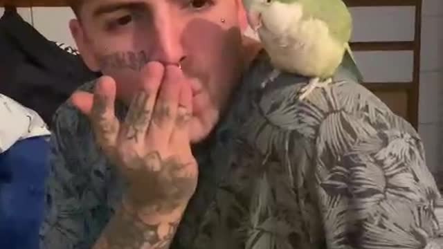 Bird Grooves to Beatboxing