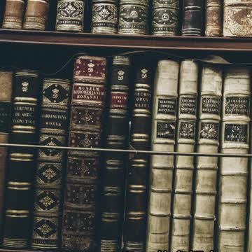 新聞美語 每日一字 Accountability