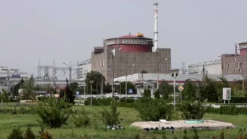 Ukraine plant inspection to last 'few days' -IAEA