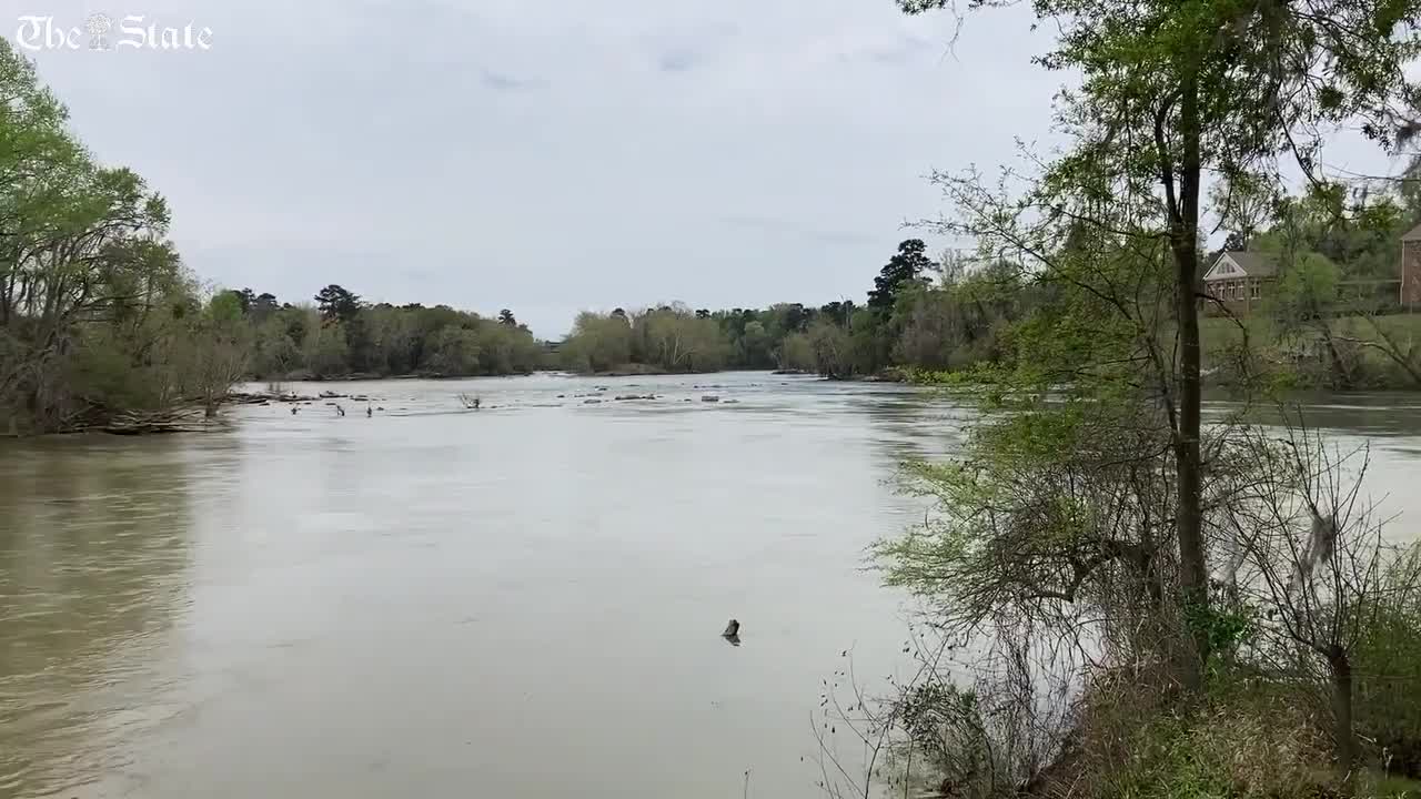 Views From Boyd Island _BREAKING NEWS