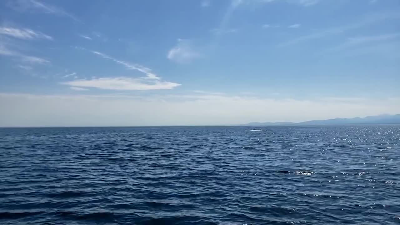 An Unexpected Humpback Whale Breach- August 18th 2022