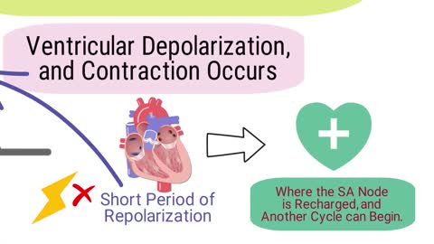 What is an Electrocardiogram? (EKG/ECG) *SIMPLE Explanation*