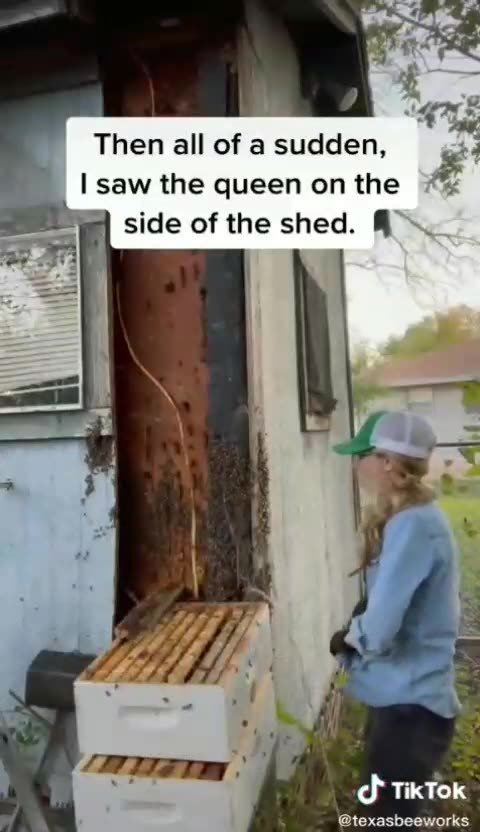 Anti-Loosh Video Number 207. LOOSH is real and bad. Explained below and watch the video