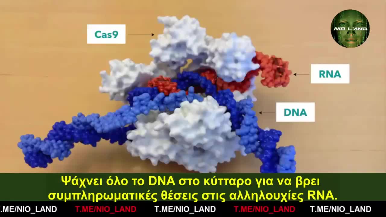 Βραβείο ΝΟΜΠΕΛ Jennifer DOUDNA: Το CRISPR είναι μια τεχνολογία για να ξαναγράψουμε τον "κώδικα ζωής"