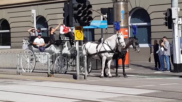 Melbourne Another Horse Carriage up Spring Street 16 04 2022