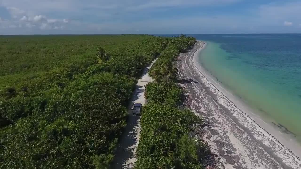 Sea waves & beach drone video