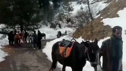 Tour of murree