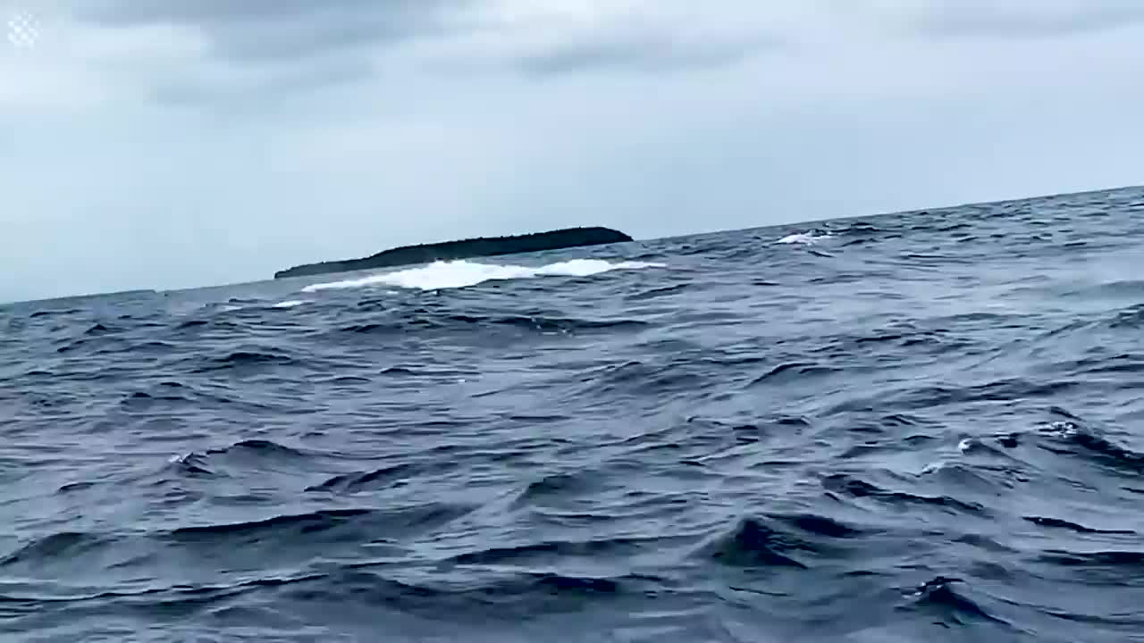 Giant Whale Jumps Out Of Nowhere - Incredibly Close Whale Encounters!-7