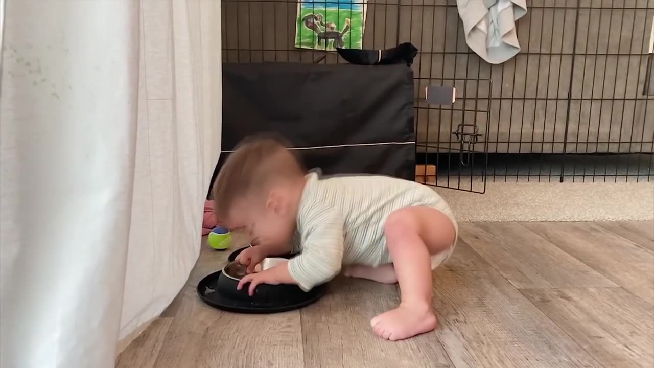 Naughty baby fails videos - Funniest trouble make babies Try Not To Laugh