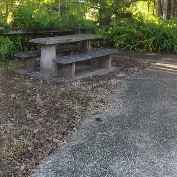 6.6.2024 Minimal Maintenance