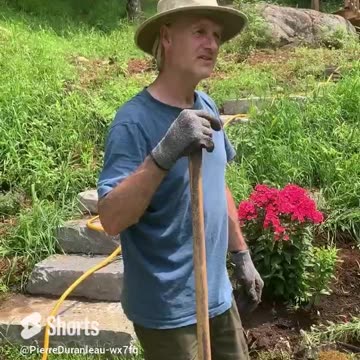 #shorts Country Rock Garden Plantings part 2
