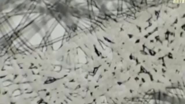 Microscope reveals graphene fibres being placed into tampons.