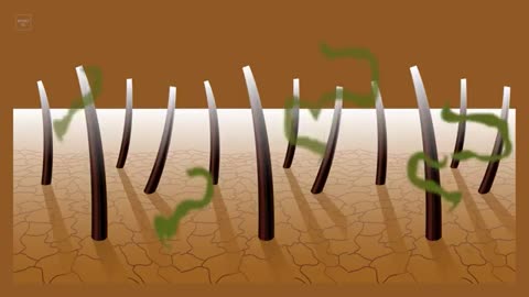 What happens if you don't wash your hair??