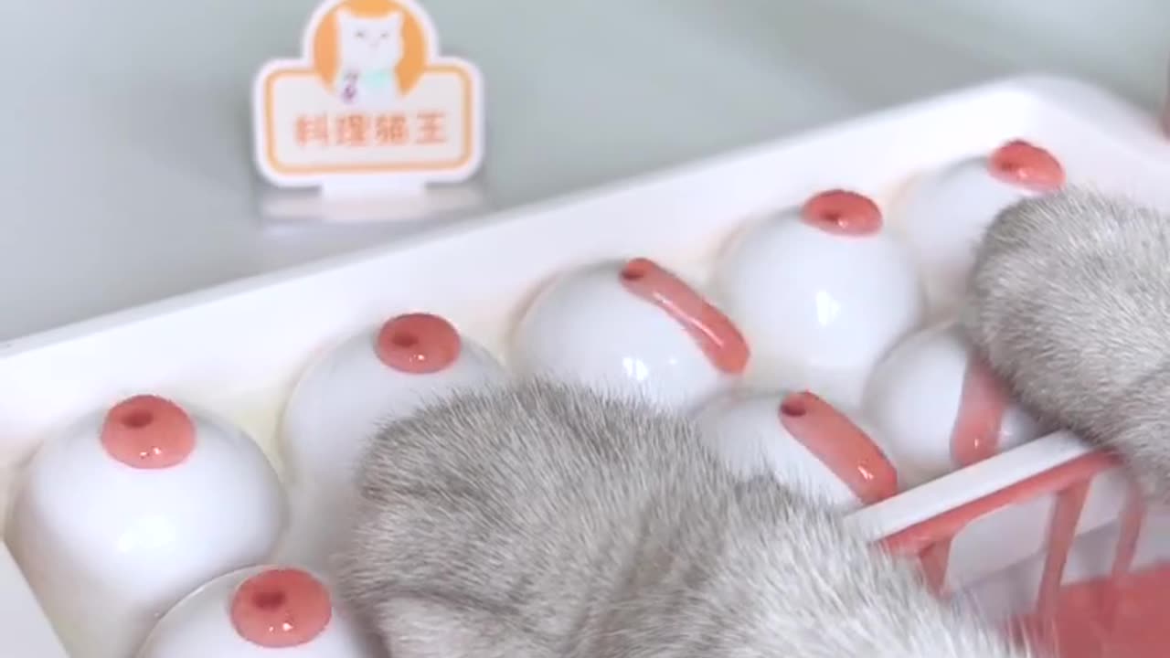 Cat making a delicious juice
