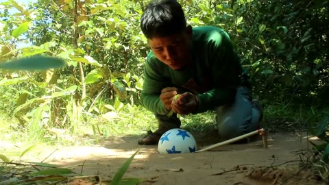 FUNNY WITHE New Creative Unique Bird Trap Using Small Plastic Ball - Rolling Parrot Trap