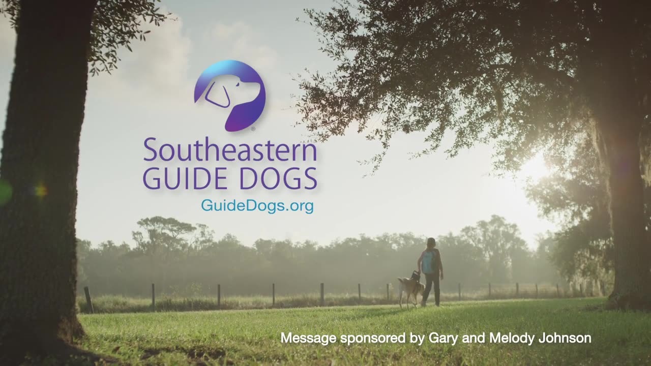 A dog I am not Southeastern guide dog