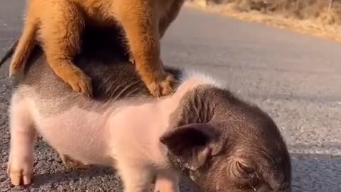 Haha. Cute