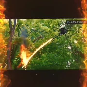 Incendios provocados en todo los continentes, no es cambio climatico