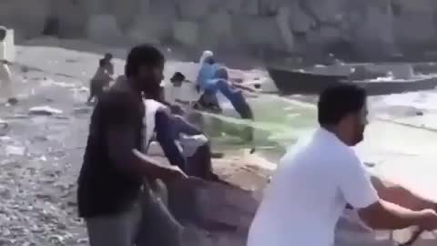 This is a beautiful and charming water-dwelling species