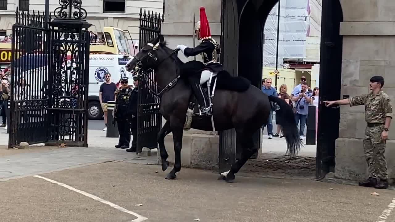 Queen’s Guard Horse Goes Crazy