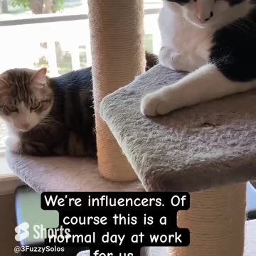 We’re influencers. Of course this is a normal day at work. #Chillaxed #InfluencersForLaziness